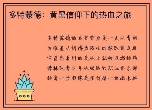 多特蒙德：黄黑信仰下的热血之旅